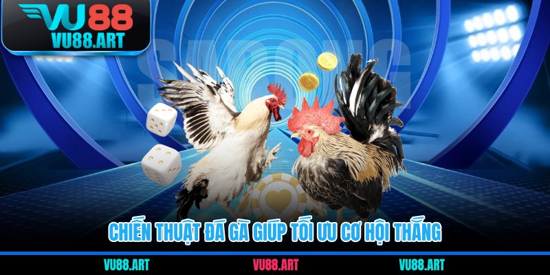 Chiến thuật đá gà giúp tối ưu cơ hội thắng