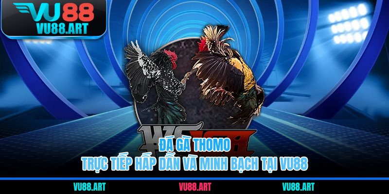 đá gà thomo