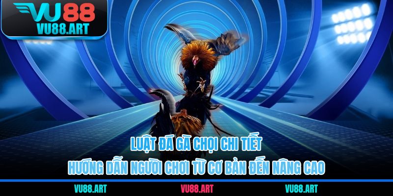 luật đá gà chọi