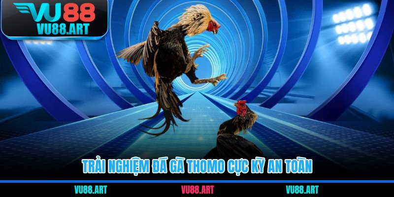 Trải nghiệm đá gà Thomo cực kỳ an toàn 